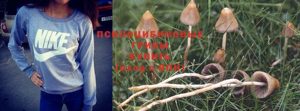 мяу мяу мука Надым