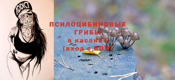 мяу мяу мука Надым