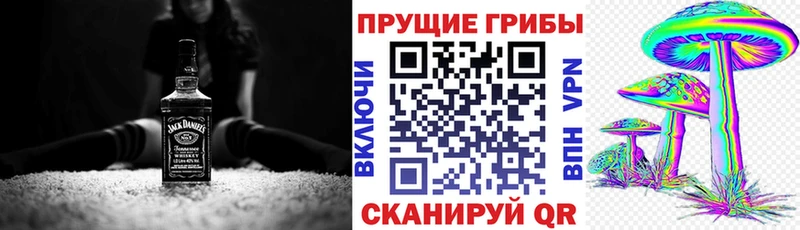 Галлюциногенные грибы MAGIC MUSHROOMS  Купить  Ахтырский 