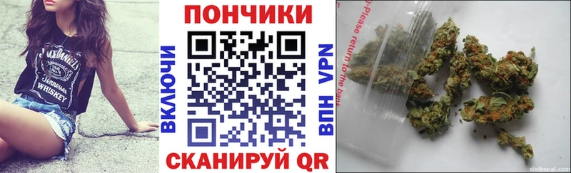 Шишки марихуана Amnesia  Купить где  Ахтырский 